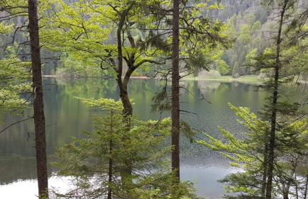 Haus am Scheibenfelsen - Foto 27