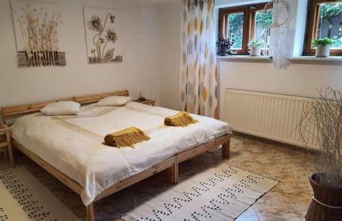 Komfortowy apartament nad Zalewem Sulejowskim - Foto 3