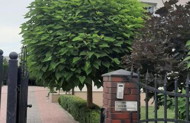 Podlaska Oaza - Dom całoroczny z sauną. - Foto 33