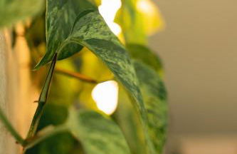 Le Pré de la Mer Suite & SPA Privatif - Foto 10