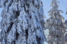 A-Frame am Ochsenkopf - Foto 51