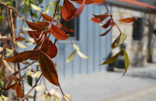 Casas do Mondego - Foto 22