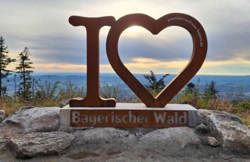 Traumblick Bayerischer Wald, Pool & Sauna, Getränke, Klimaanlage - Foto 14