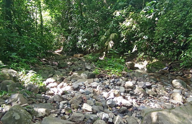 Cabaña Nuisuni - Foto 6