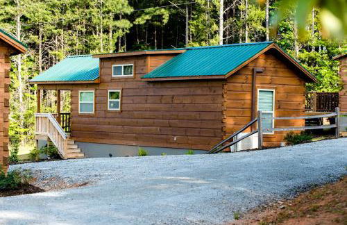 Peaceful Cabin Close to Tryon and the Foothills near Lake Lure in Mill Springs, North Carolina - Foto 9