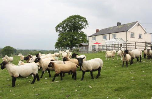 Cob Cottage - Photo 29