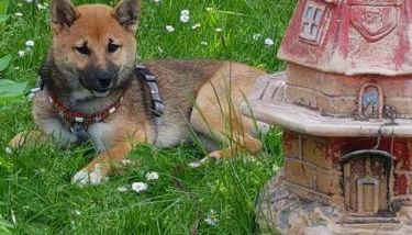 Ferienwohnung Baacke - Foto 3