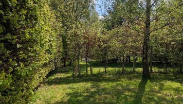 Birkenside Cottage - Foto 4, Garden, Garden view