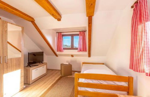 Nice Home In Gospic With Sauna - Photo 34