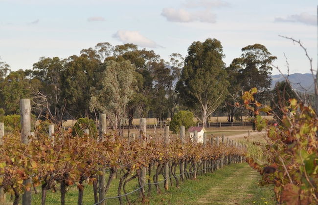 Bracken Ridge Villas - Foto 50