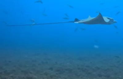 ESPECTACULARES VISTAS AL MAR - Foto 29