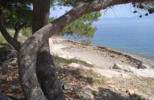 Apartment Ana - Foto 38