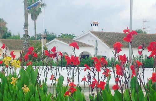 Casa Eucaliptus - Foto 15