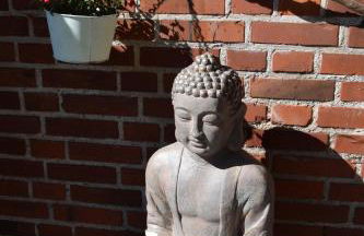 Alpakatherapie und Ferienhof Charlottenthal - Foto 14