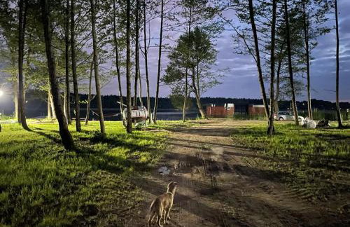 Domki na wodzie Warmińskie Pompeje - Foto 34