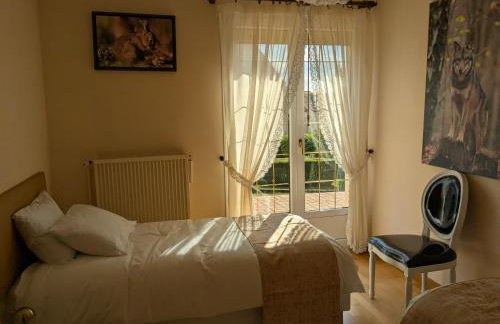 Gîte des Lilas - Foto 13