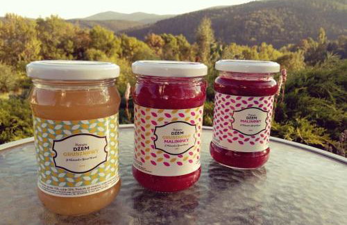 Halinówka - Twoje Miejsce w Górach Sowich - Foto 29