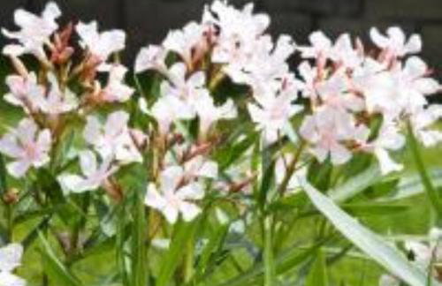 Cozy and calm - Foto 42