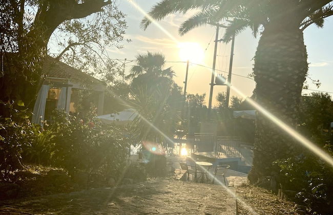 LASSIA STUDIOS - Foto 20