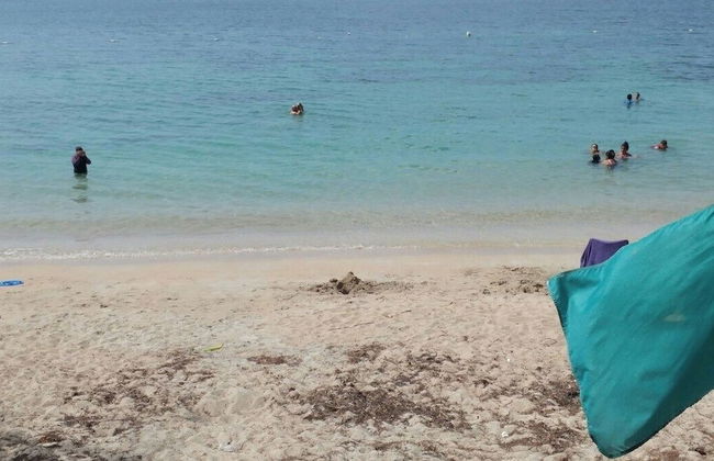 Beachfront Studios - Photo 65