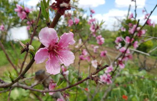 Casa da Ti Bia - Foto 28