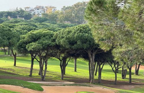 Secret View Puerto Cabopino - Photo 6