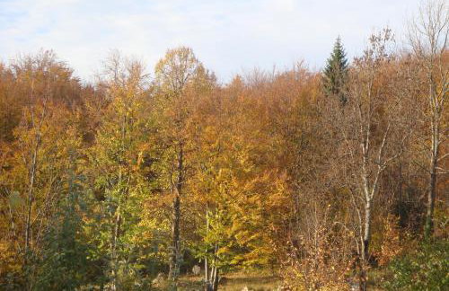 Apartment Marija - Foto 20