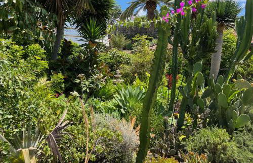 Casa Jardin Tropical - Foto 11