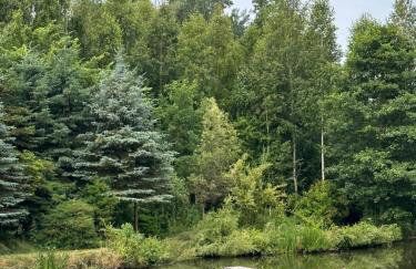 Pokój Przy Kominku - Foto 35