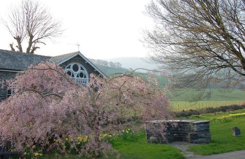 Bronhaul Cottage in Pennal - Photo 38