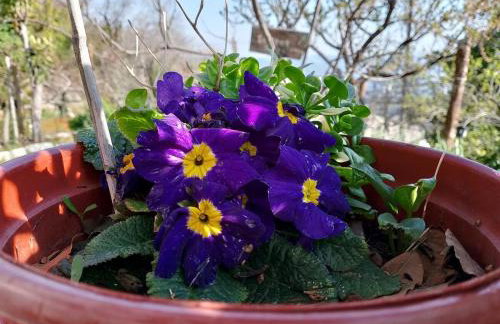 Stonehouse - The Secret Place - Foto 32