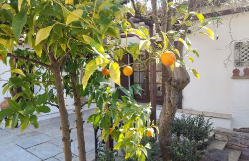 Lito's dream villa by the sea! - Photo 6