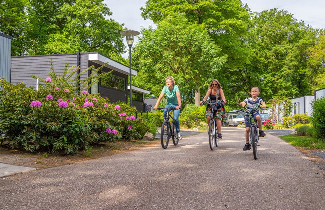 2 bedroom House in Belfeld with swimming pool and terrace - Photo 15