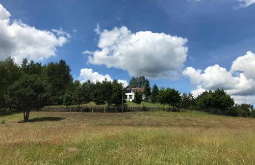 Dom Mossa - Photo 30