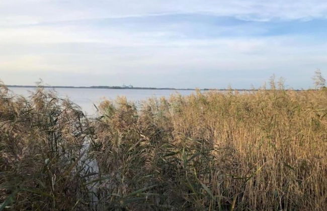 Enticing Holiday Home in Eastermar near Burgumer Mar Lake - Photo 35