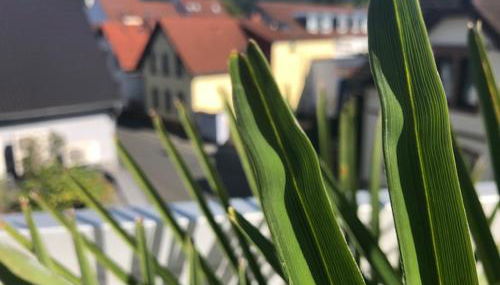 Wohnen beim Brotsommelier - Alpenkruste - Foto 3