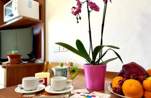 Residence Algarve - Photo 40