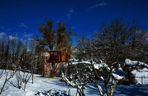 Casa sull'albero Bocchineri - Photo 42