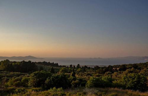 Renovated old traditional House - Photo 58