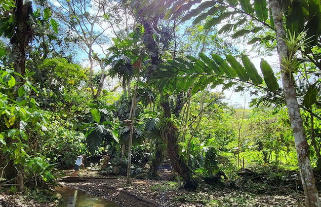 Jaco-carara 3 Bdrm Surrounded by Rainforest With Private Pool - Foto 42