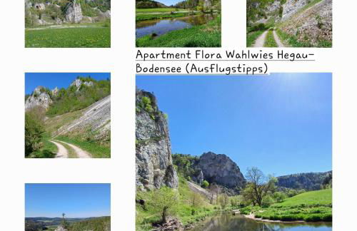 Apartment Flora - Foto 27