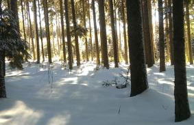 Schwarzwald geht immer Fewo 60 qm mit großem Südbalkon, WLAN und Magenta TV - Foto 28