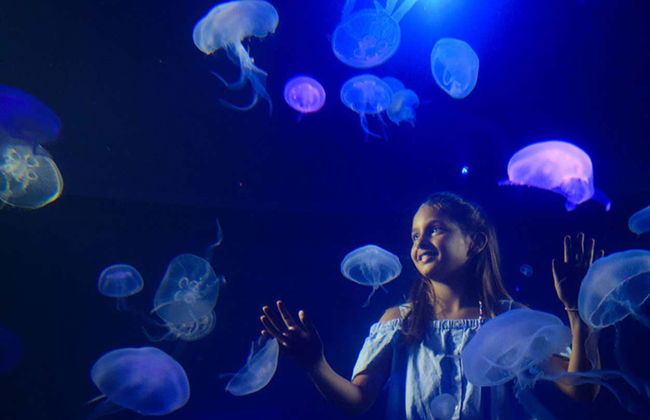 Entrada a Palma Aquarium - Foto 6