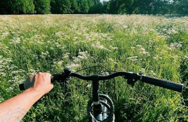 Green View Tornow - Foto 29