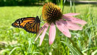 Historic Devoe House-Walk to Downtown Arts and Restaurants - Foto 5