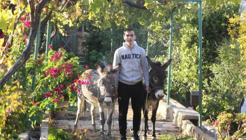 Venetis Luxury Apartments - Foto 5, Garden, Garden view