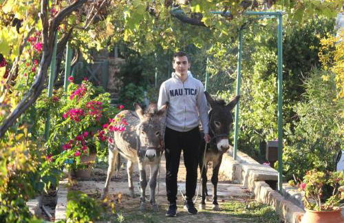 Venetis Luxury Apartments - Photo 5