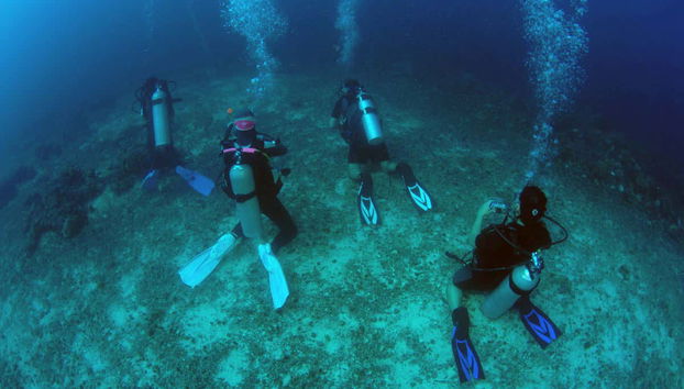Diving in Malapascua