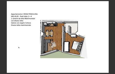 TERMINILLO - I Fiori del Terminillo - Tre Faggi - Foto 71
