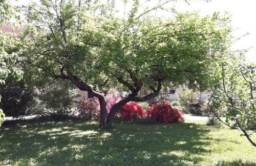 Talonno il frutteto - Foto 5